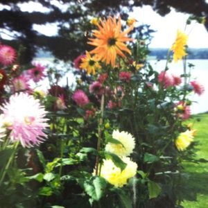 Meet your Posher, Helen